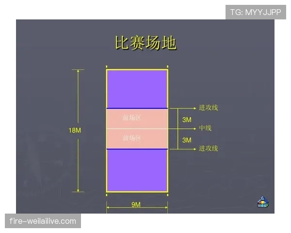 足球比赛中体育道德规则对裁判判罚的指导和影响解析